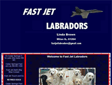 Tablet Screenshot of fastjetlabradors.com